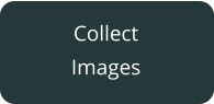Collect Images