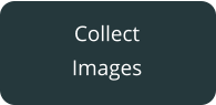 Collect Images